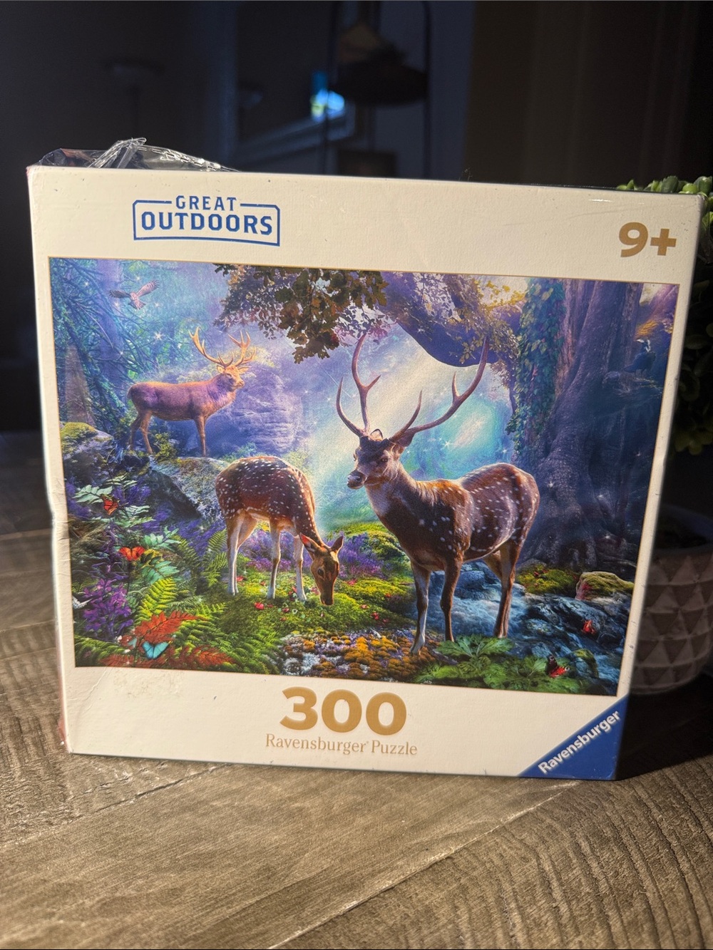 Ravensburger 300 Piece Puzzle - The Great Outdoors